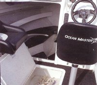 Entrprise 490 cockpit